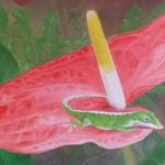 Anthurium with Gecko